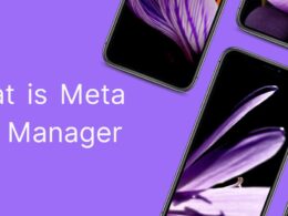 What is Meta App Manager