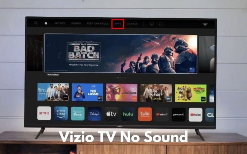 Vizio TV No Sound